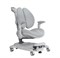Комплект парта Colore Grey (new) + кресло Arnica Grey Cubby с подлокотниками и подставкой для ног - фото 11397