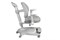 Комплект парта Iris Grey + кресло кресло Agosto Grey 250981