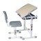 Детская парта со стульчиком Piccolino FunDesk 211461 - фото 11338