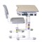 Детская парта со стульчиком Piccolino FunDesk 211461 - фото 11339