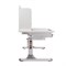 Комплект парта Camellia Grey + кресло Cielo Grey + удлинитель WSB4-2 250919 - фото 12836